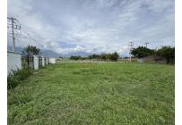 Lotes, Venta, Palmira - $290.000.000