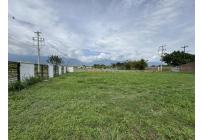 Lotes, Venta, Palmira - $290.000.000