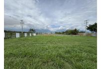 Lotes, Venta, Palmira - $290.000.000