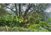 Casas, Venta, Yumbo - $2.500.000.000