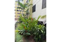 Apartamentos, Venta, El Ingenio - $450.000.000
