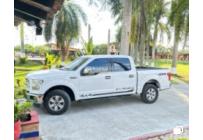 Ford F-150 2015 - $115.000.000