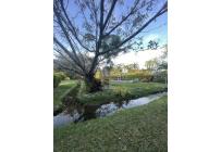 Casas, Venta, Pance - $1.800.000.000