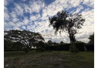 Lotes, Venta, Palmira - $990.000.000