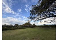 Lotes, Venta, Palmira - $990.000.000