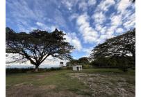 Lotes, Venta, Palmira - $990.000.000