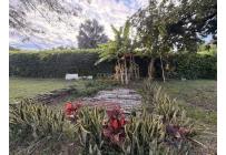 Lotes, Venta, Palmira - $990.000.000
