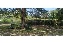 Lotes, Venta, Palmira - $990.000.000