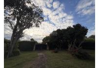 Lotes, Venta, Palmira - $990.000.000