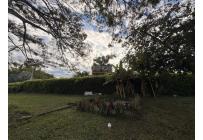 Lotes, Venta, Palmira - $990.000.000