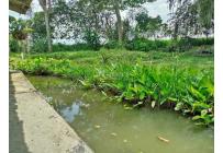 Casas, Venta, Ginebra - $700.000.000