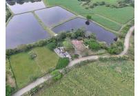 Casas, Venta, Ginebra - $700.000.000