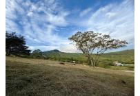 Lotes, Venta, Yumbo - $589.000.000