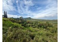 Lotes, Venta, Yumbo - $589.000.000