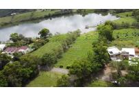 Lotes, Venta, Palmira - $690.000.000