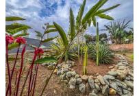 Fincas y Casas Campestres, Venta, Dagua - $850.000.000