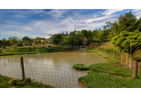 Fincas y Casas Campestres, Venta, Dagua - $850.000.000