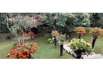 Fincas y Casas Campestres, Venta, Dagua - $1.100.000.000