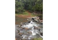 Lotes, Venta, Dagua - $165.000.000