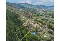 Lotes, Venta, Dagua - $290.000.000