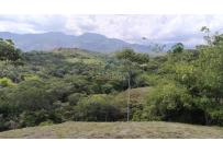 Lotes, Venta, Pance - $700.000.000