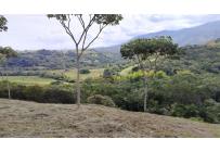 Lotes, Venta, Pance - $700.000.000