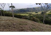Lotes, Venta, Pance - $700.000.000