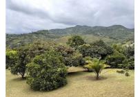 Casas, Venta, La Reforma - $1.200.000.000
