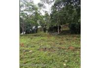 Lotes, Venta, Sasaima - $280.000.000