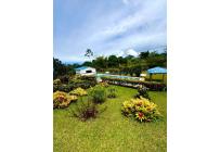 Fincas y Casas Campestres, Venta, Dagua - $500.000.000