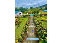 Fincas y Casas Campestres, Venta, Dagua - $500.000.000