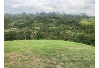 Lotes, Venta, Pance - $1.100.000.000