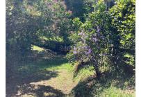 Lotes, Venta, Pance - $1.100.000.000