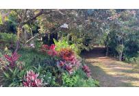 Lotes, Venta, Pance - $1.100.000.000