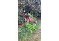 Lotes, Venta, Pance - $1.100.000.000