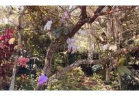 Lotes, Venta, Pance - $1.100.000.000