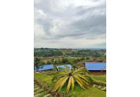 Edificios, Venta, El Cerrito - $890.000.000