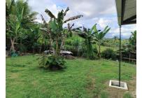 Fincas y Casas Campestres, Venta, Calima (Darién) - $400.000.000
