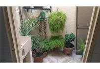 Casas, Venta, Calipso - $270.000.000