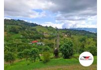 Fincas y Casas Campestres, Venta, Dagua - $300.000.000