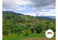 Fincas y Casas Campestres, Venta, Dagua - $300.000.000