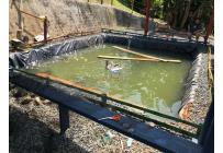 Fincas y Casas Campestres, Venta, Dagua - $1.100.000.000