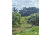 Fincas y Casas Campestres, Venta, La Unión - $1.400.000.000