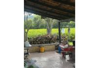 Fincas y Casas Campestres, Venta, La Unión - $1.400.000.000