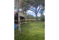 Fincas y Casas Campestres, Venta, La Unión - $1.400.000.000
