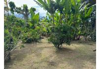 Fincas y Casas Campestres, Venta, Dagua - $280.000.000