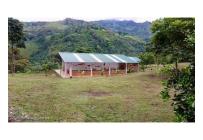 Lotes, Venta, La Vega - $3.800.000.000