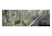 Lotes, Venta, Dagua - $235.000.000