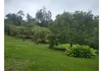 Fincas y Casas Campestres, Alquiler, Dagua - $3.800.000