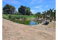 Fincas y Casas Campestres, Venta, Florida - $599.000.000